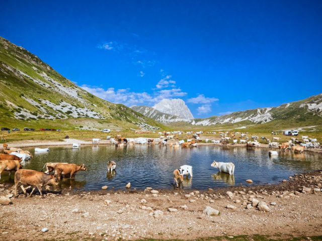 campo imperatore
