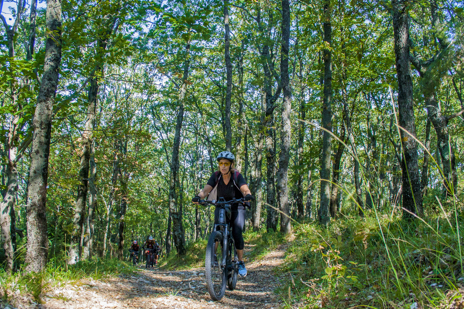 In E-Bike nella Foresta Umbra