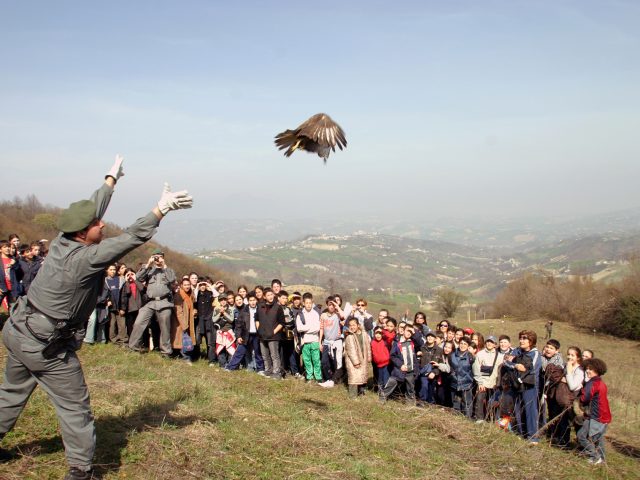 Liberazione di Rapaci