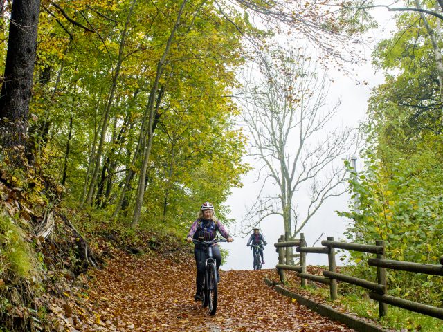 ALPE ADRIA FRIULI
