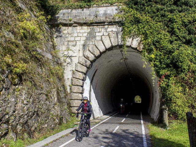 ALPE ADRIA FRIULI