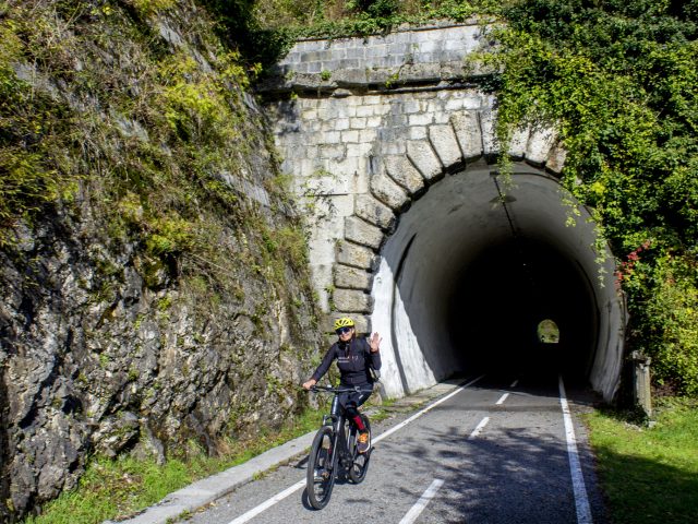 ALPE ADRIA FRIULI